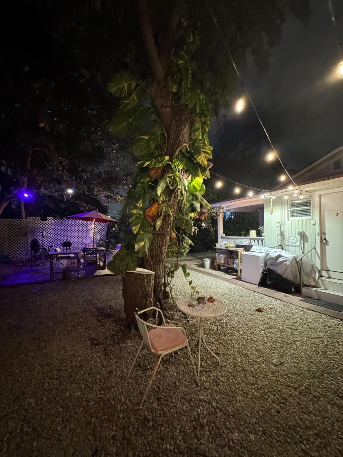 Deluxe Room In Best Location Miami In A 2 Bedrooms Unit - Parking, Laundry And Luggage Storage Buitenkant foto